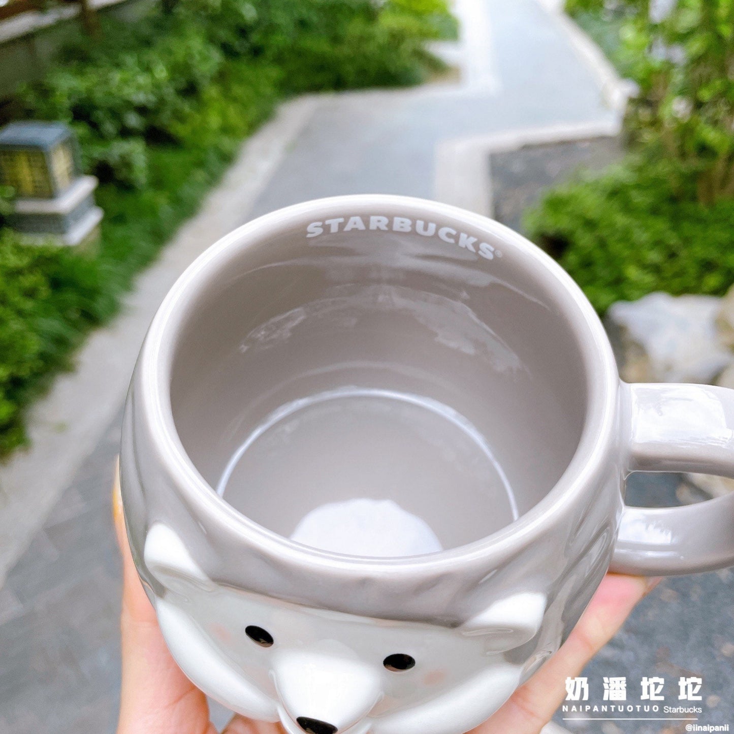 Starbucks China 335ml 2021 autumn forest acorn and hedgehog ceramics mug
